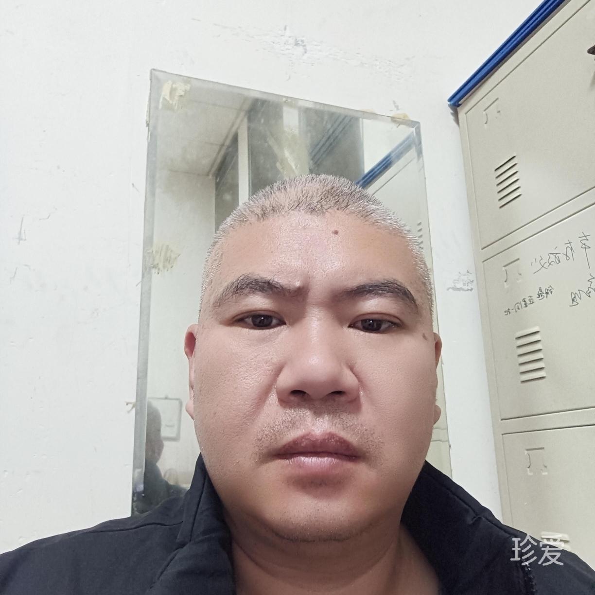 神树的落叶