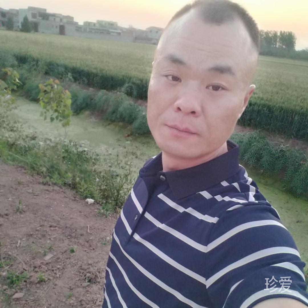 梦想去流浪