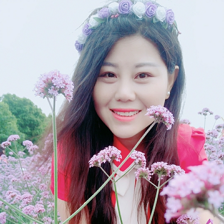 忆梦扬州宝应人