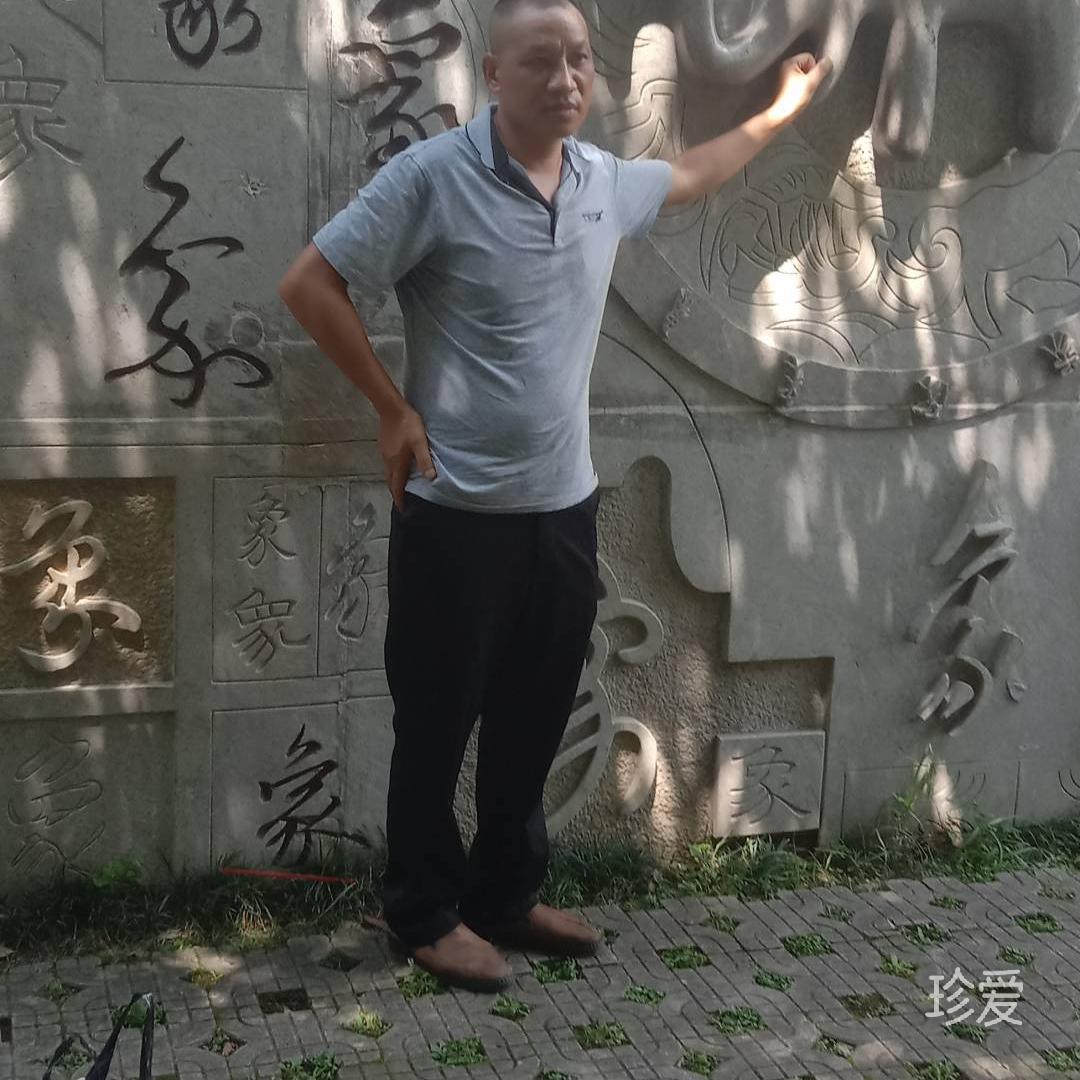 猪的爱情