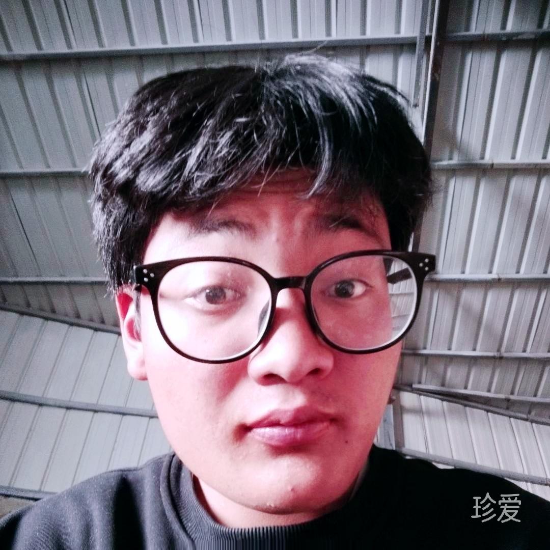 雨后森林