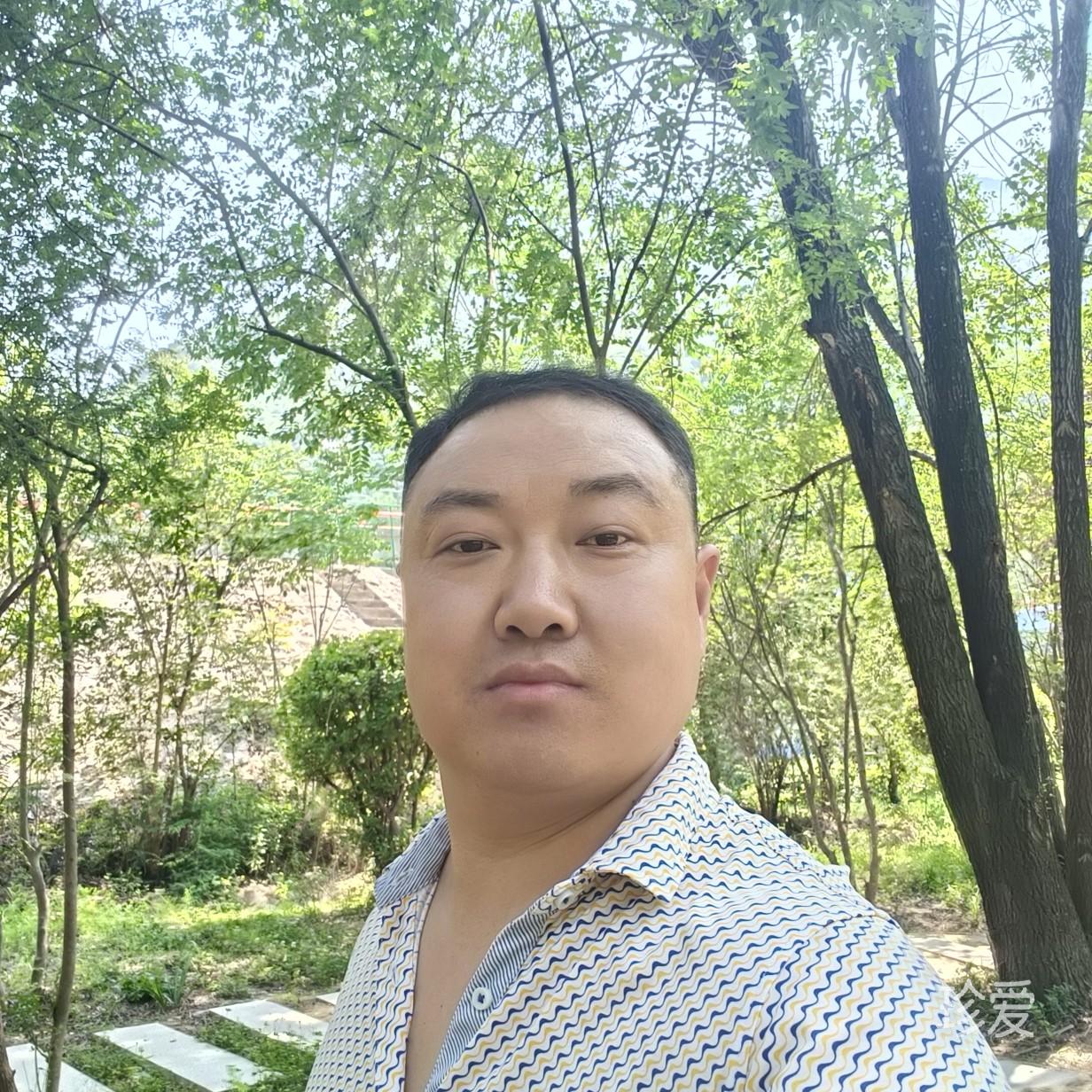 向阳的树