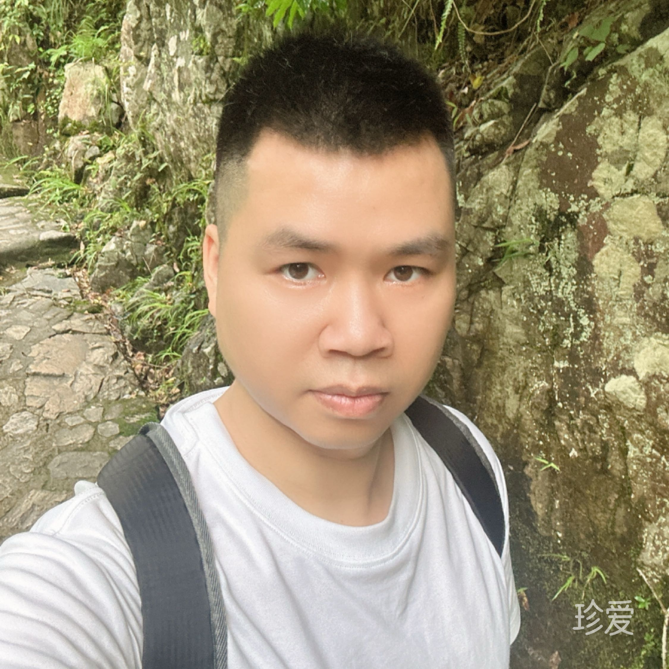 大漠无沙