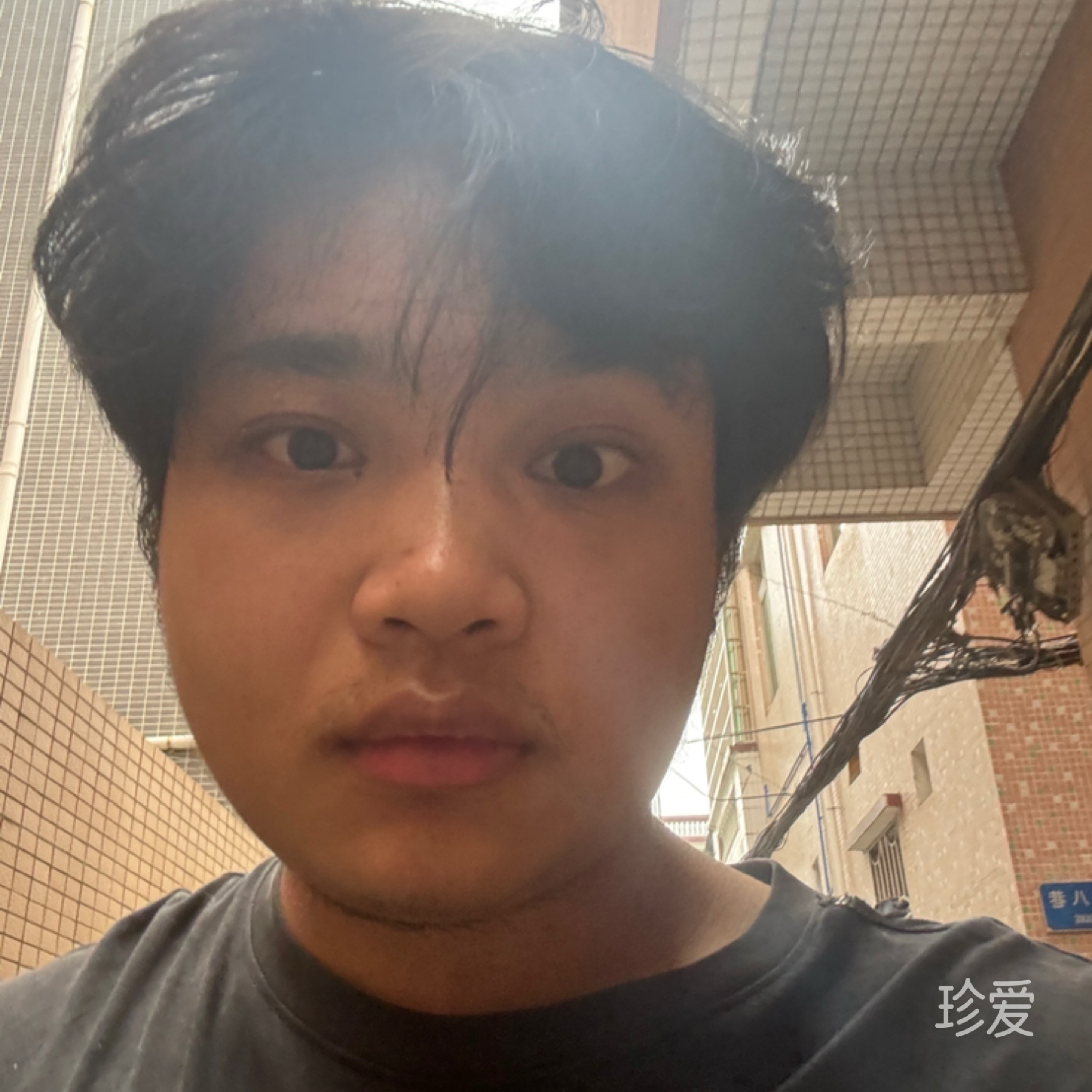 深情不及久伴