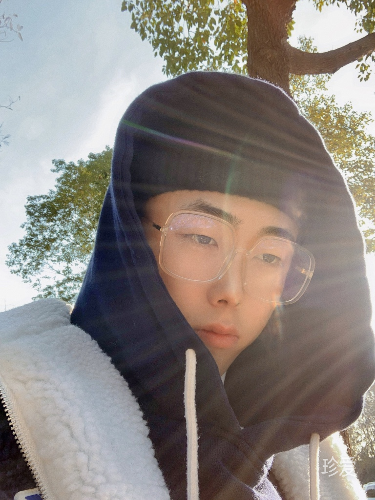 枯树枝上的黑乌鸦