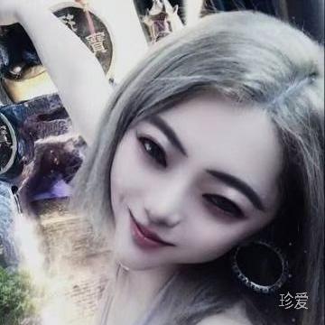 酷爱猫头鹰