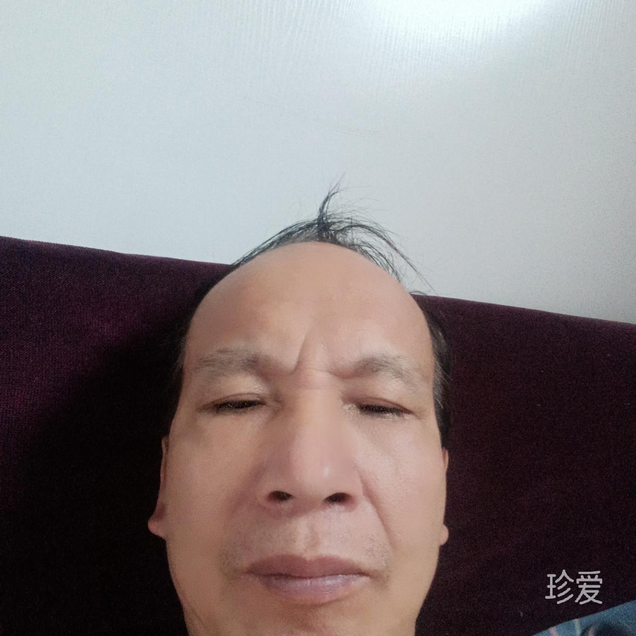 何以爱情