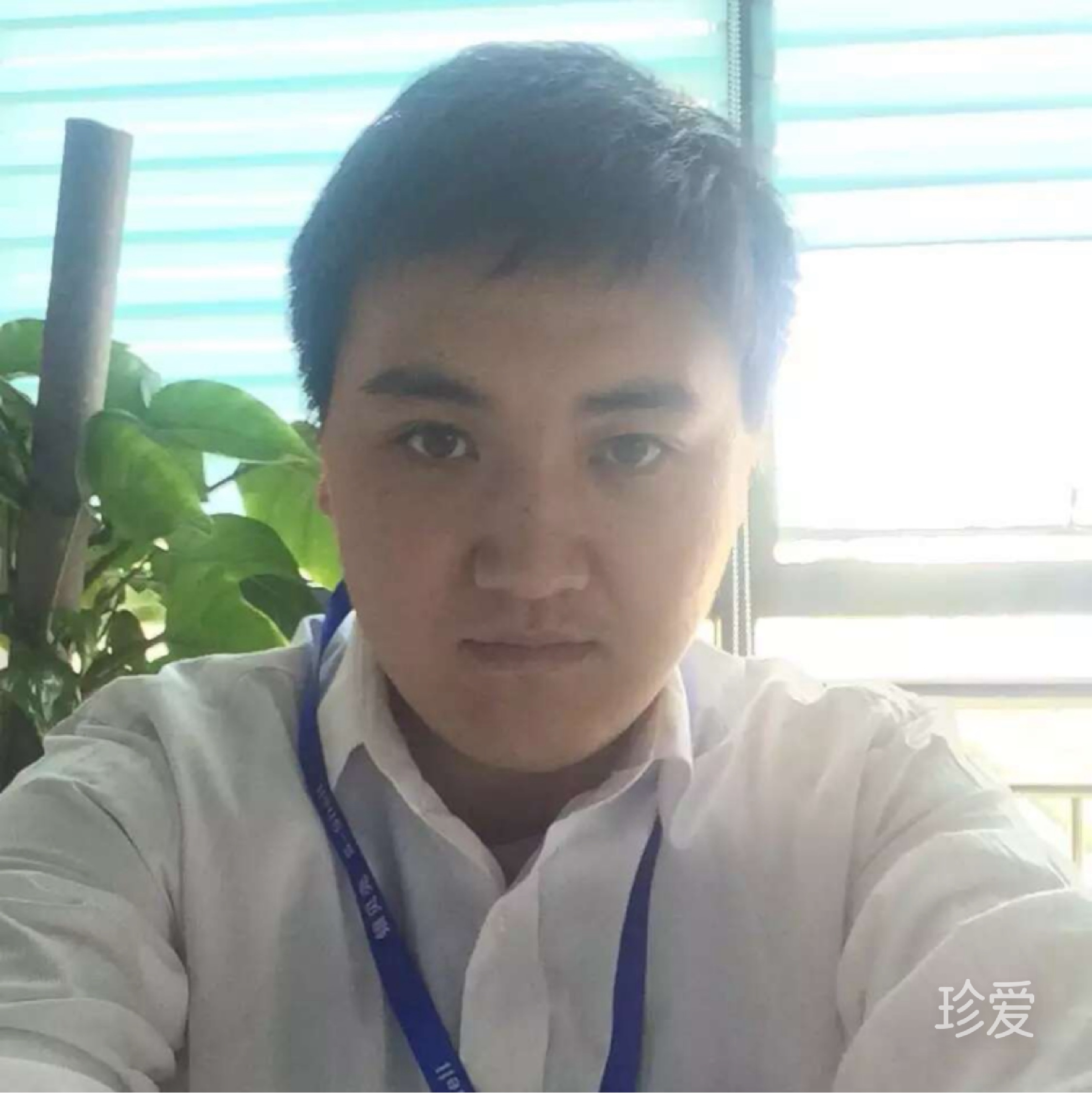 林间小屋