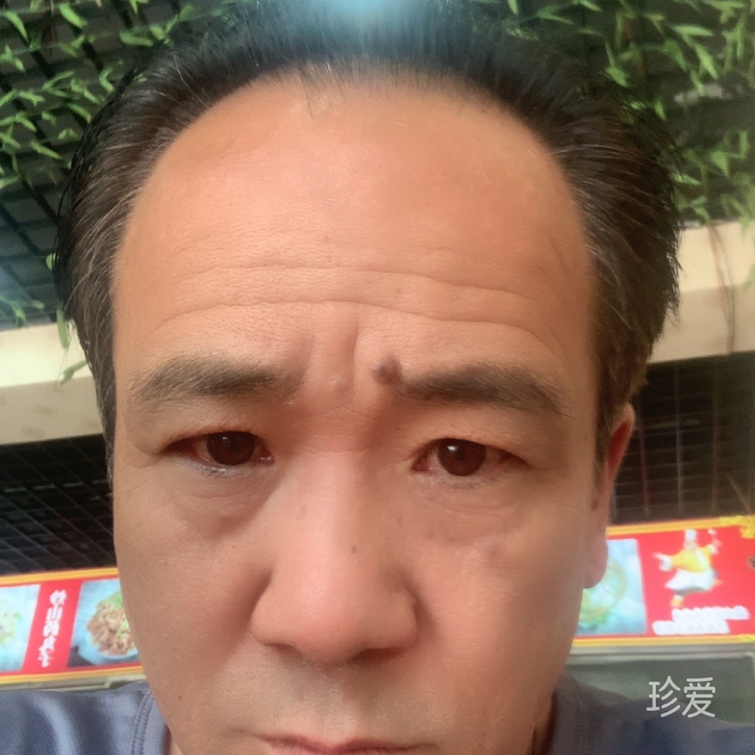 昨夜星辰昨夜夢(mèng)