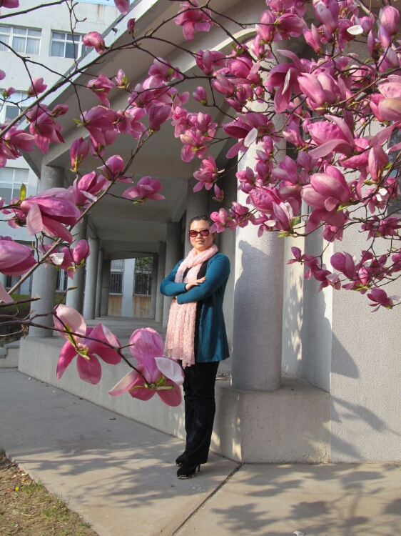 简单快乐的小蜜蜂