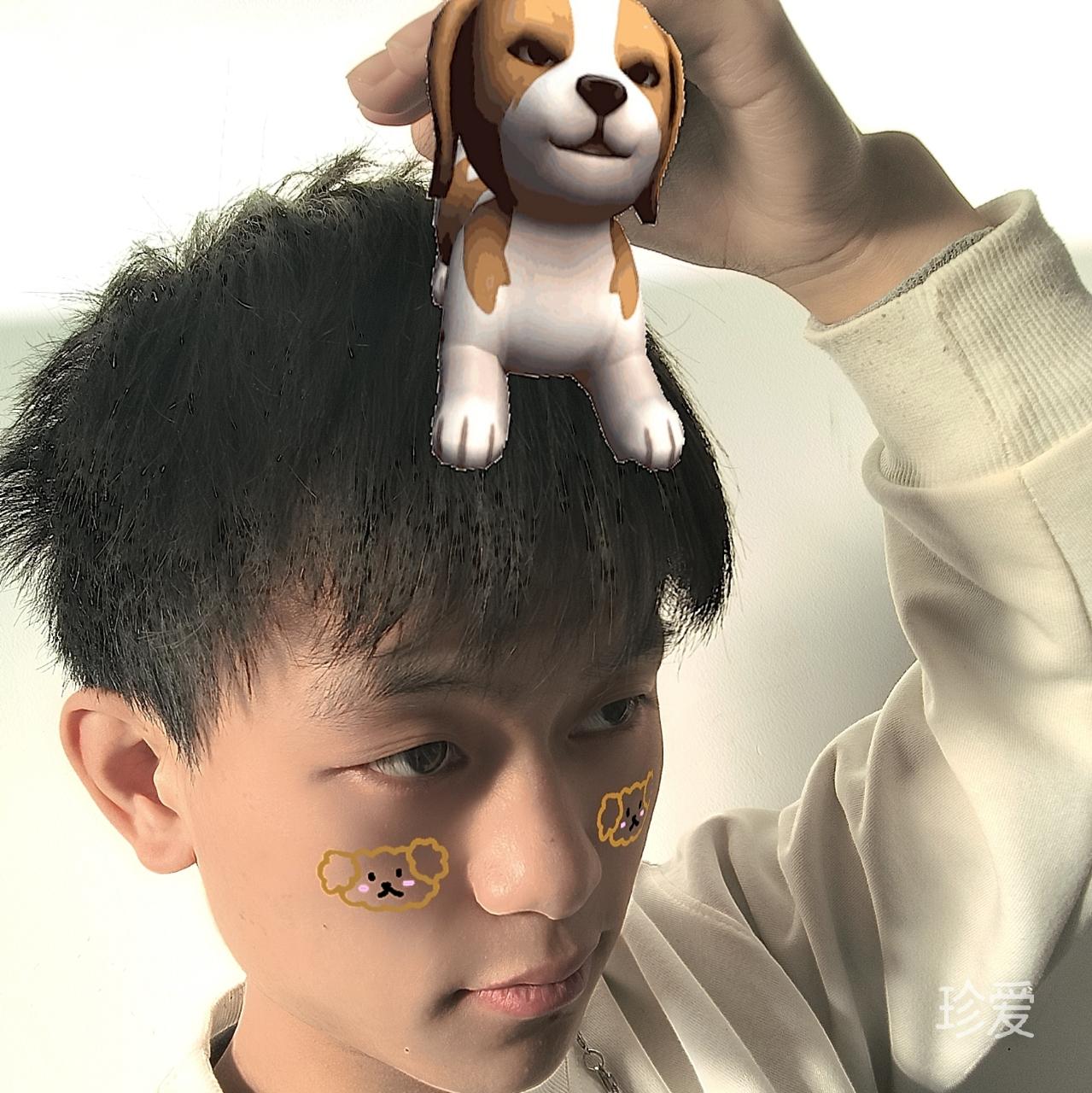 想你啦