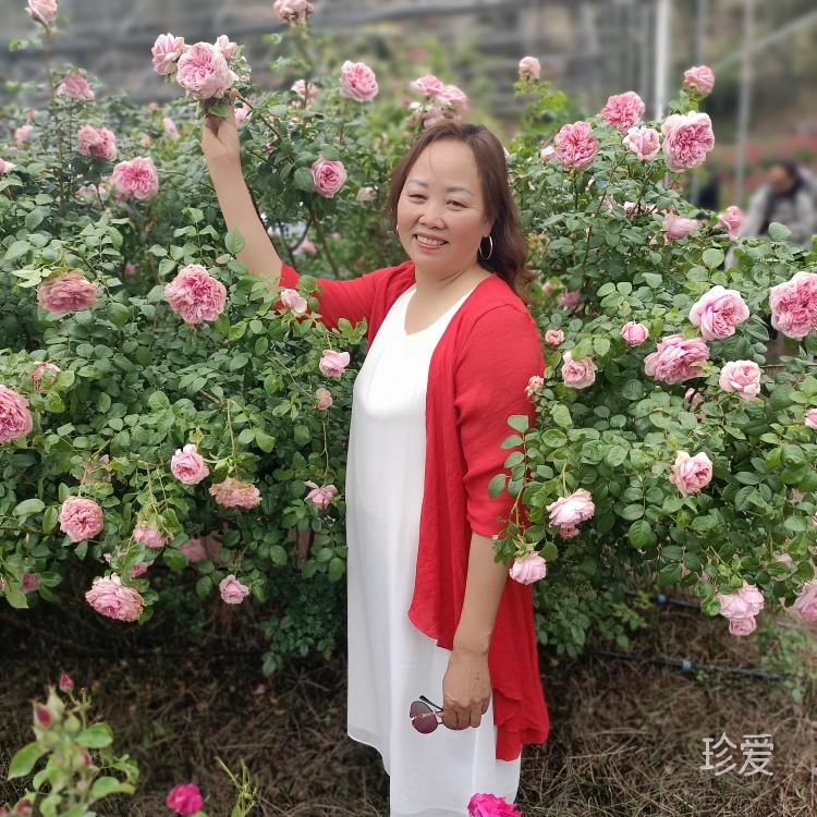 开心过好每一天