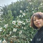 期待的幸福