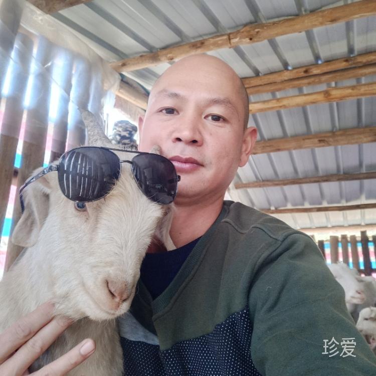 等待命運(yùn)的輪回