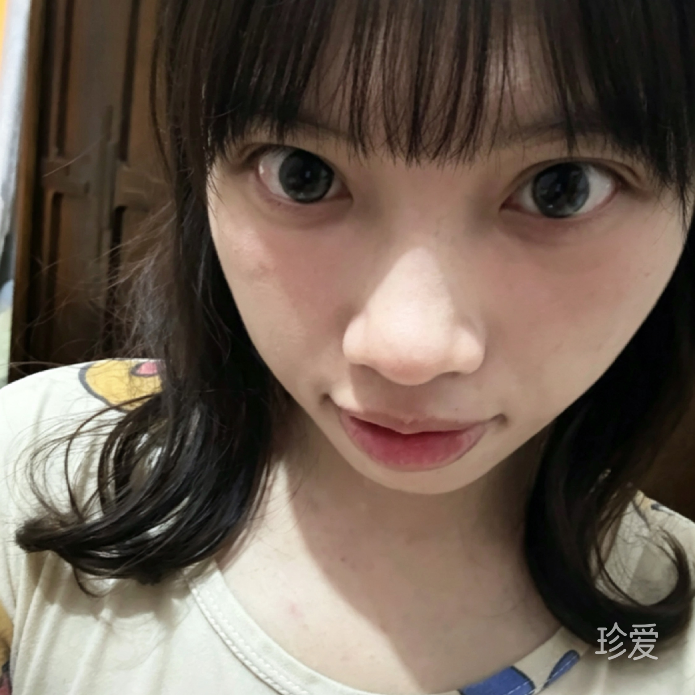 lindy