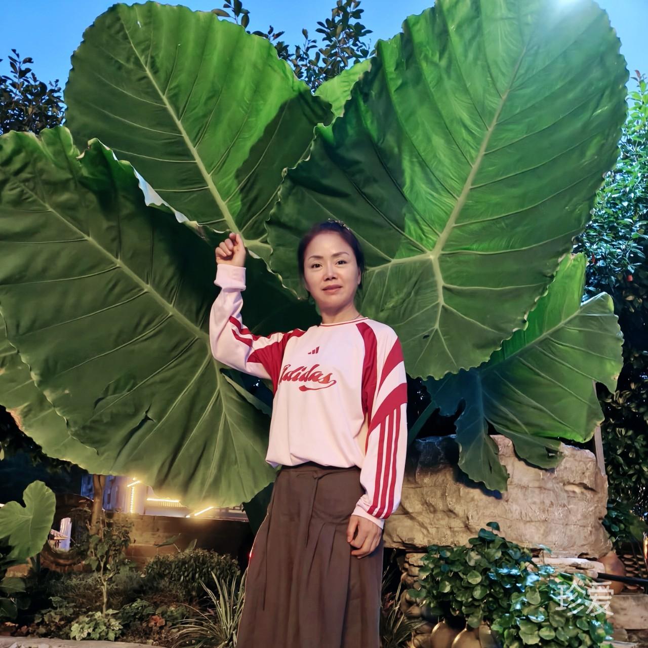 与爱相拥