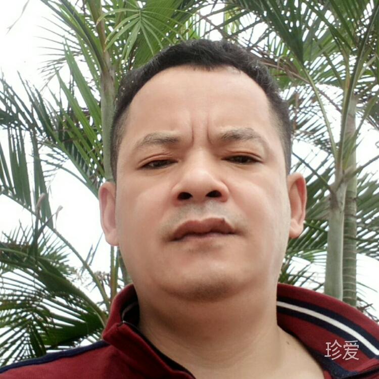 雨中鱼