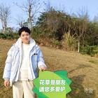 泠然御風(fēng)者