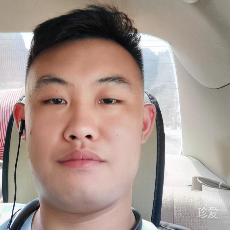 行走在沙漠中的孤狼