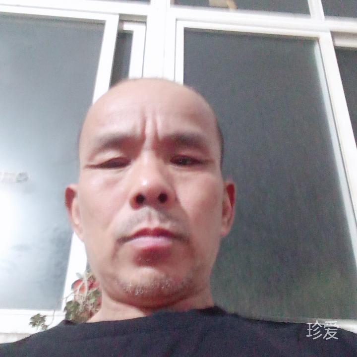 陆伟民