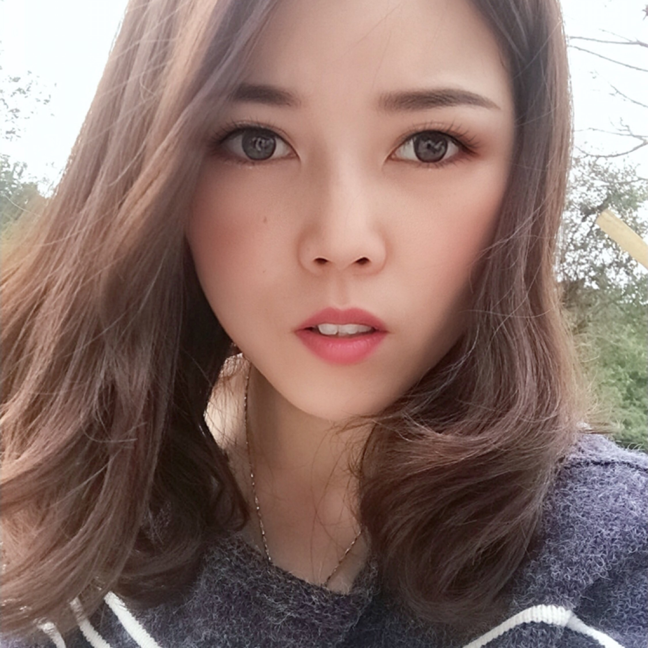 冬天里的白玫瑰