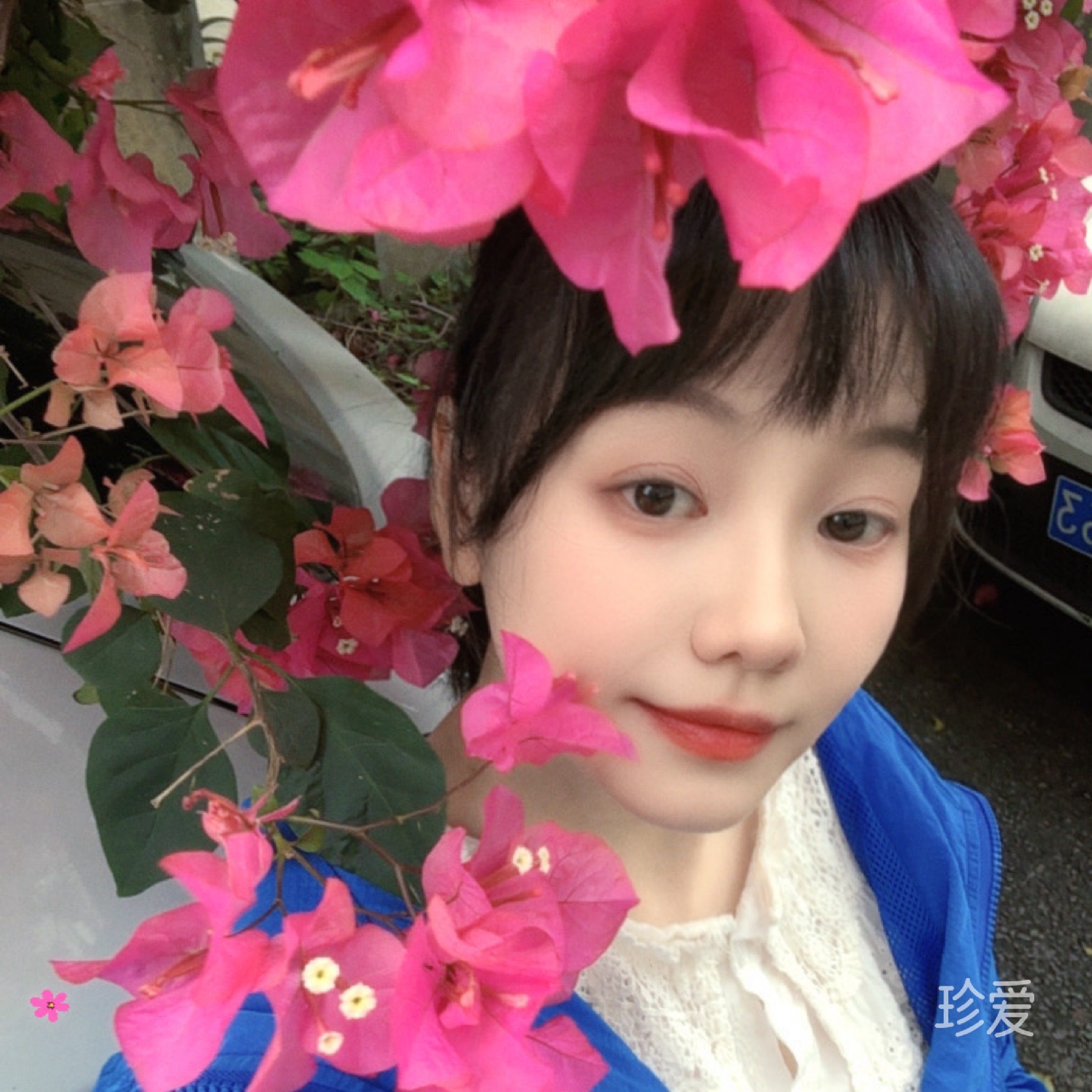 陌上花开