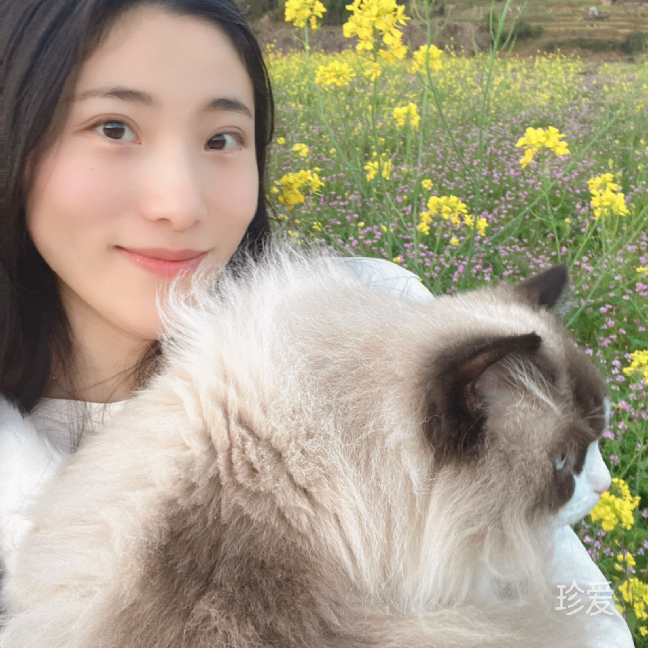 小阿狸