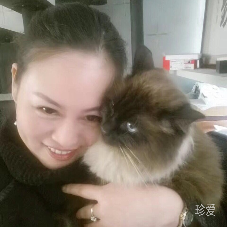 慧心