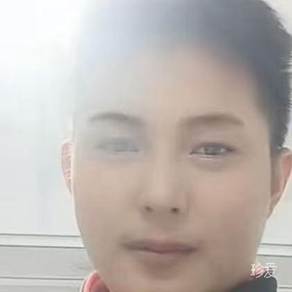 白头鹰