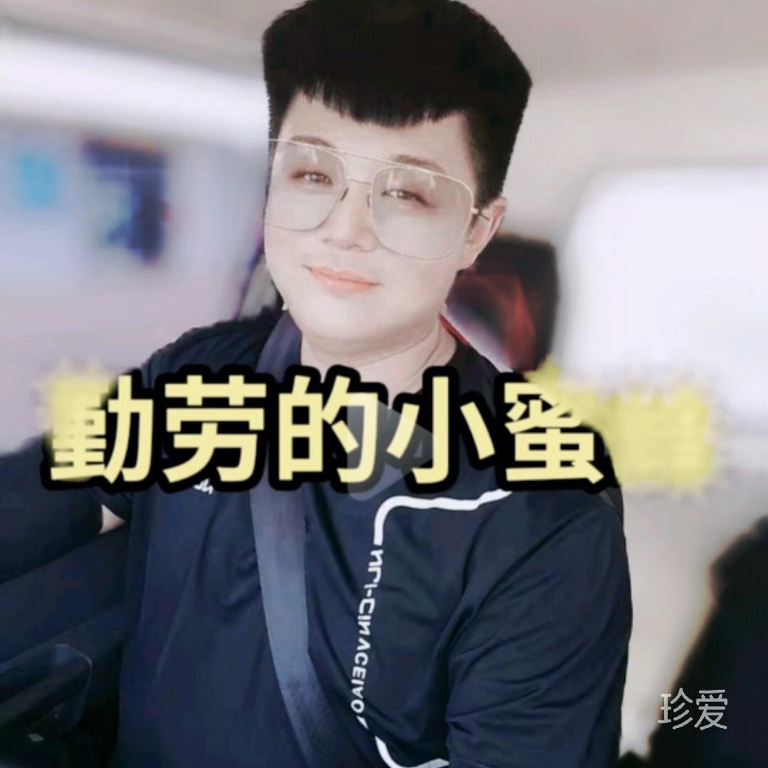 寻寻觅觅