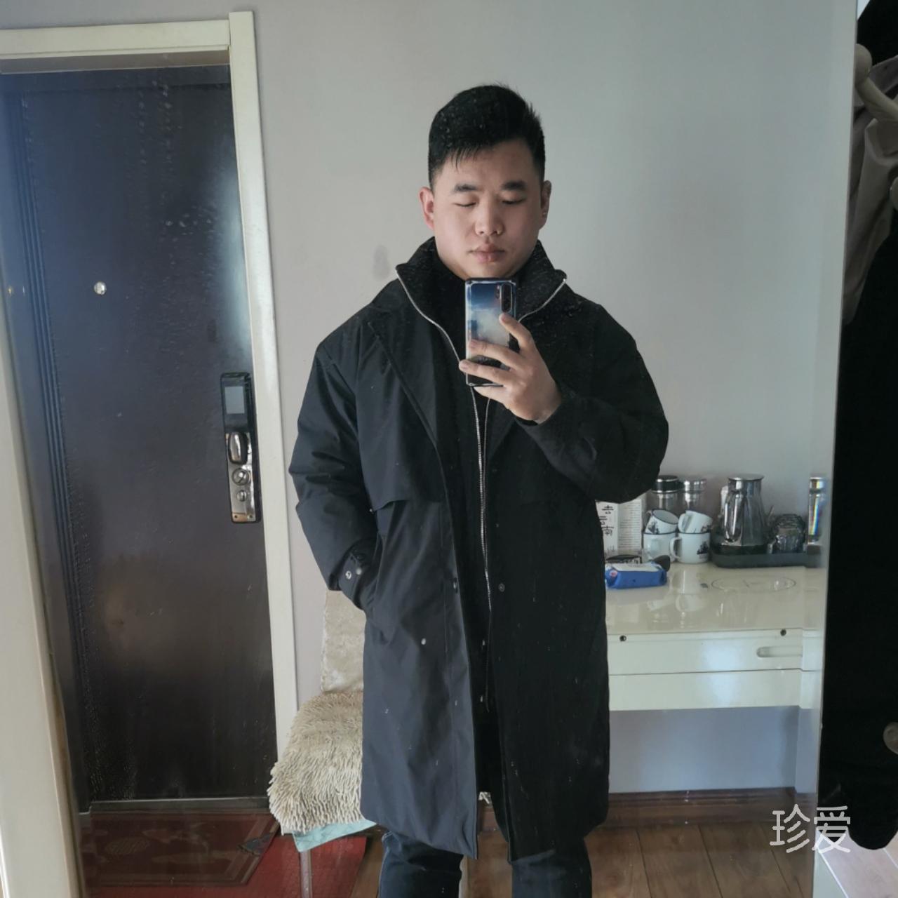 窗外的松柏
