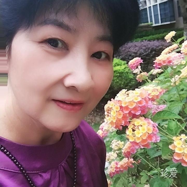 凤妮