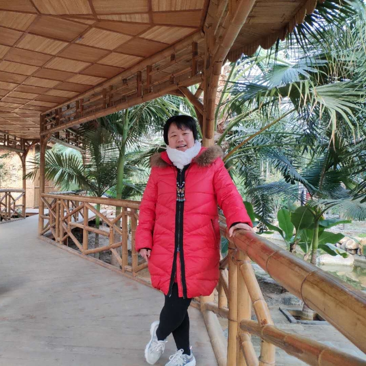 静看雪中人