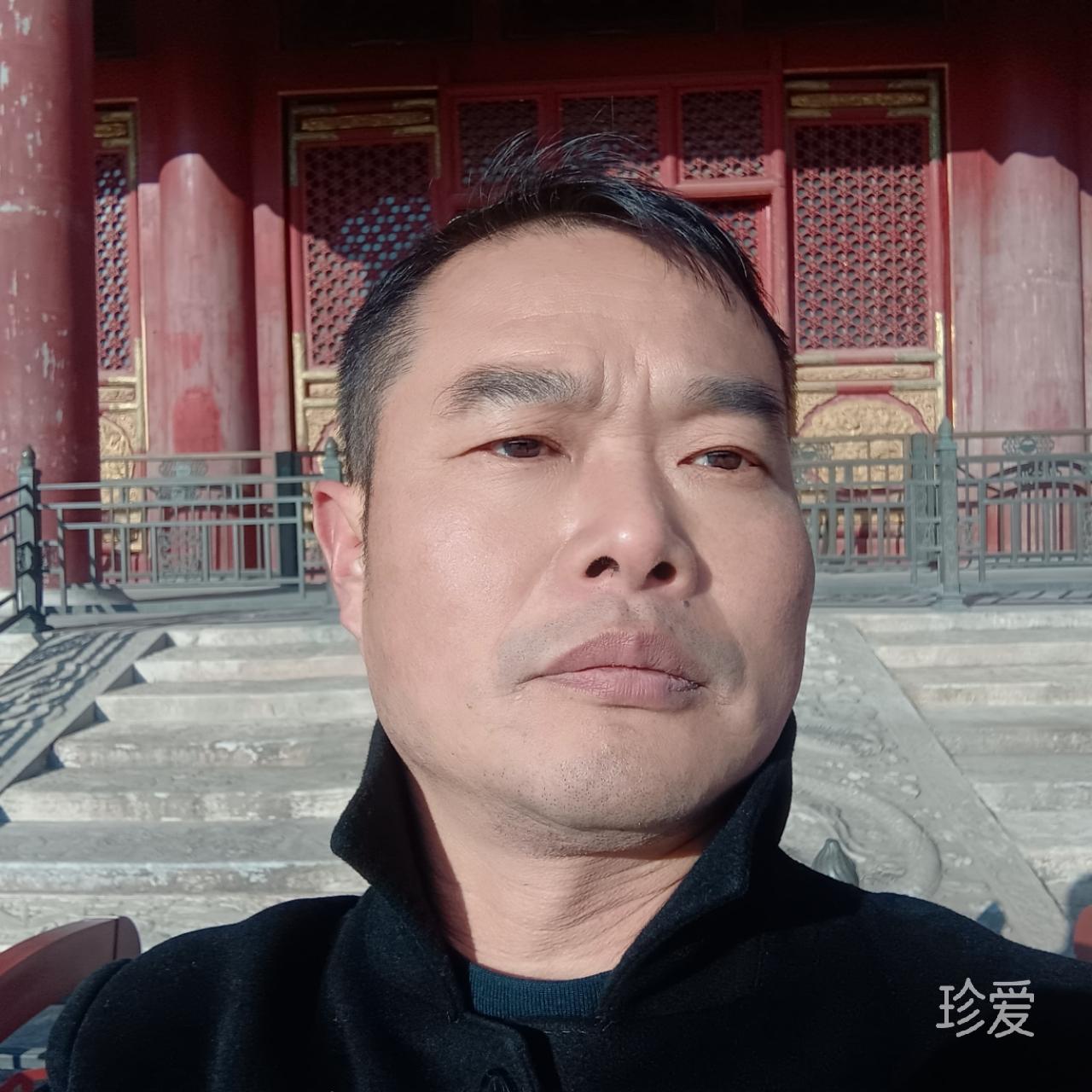 动物世界