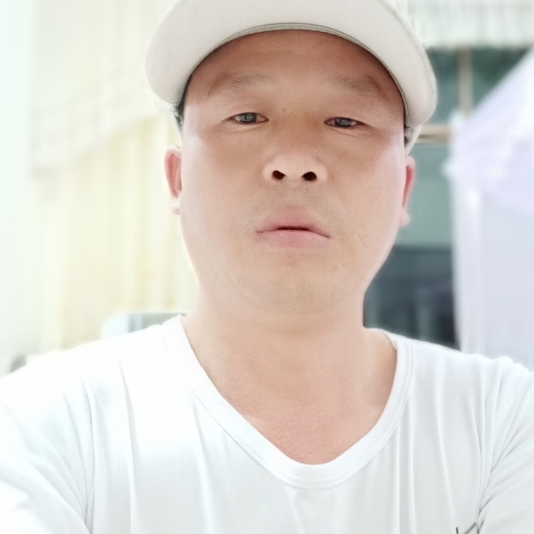 人生若只如初見