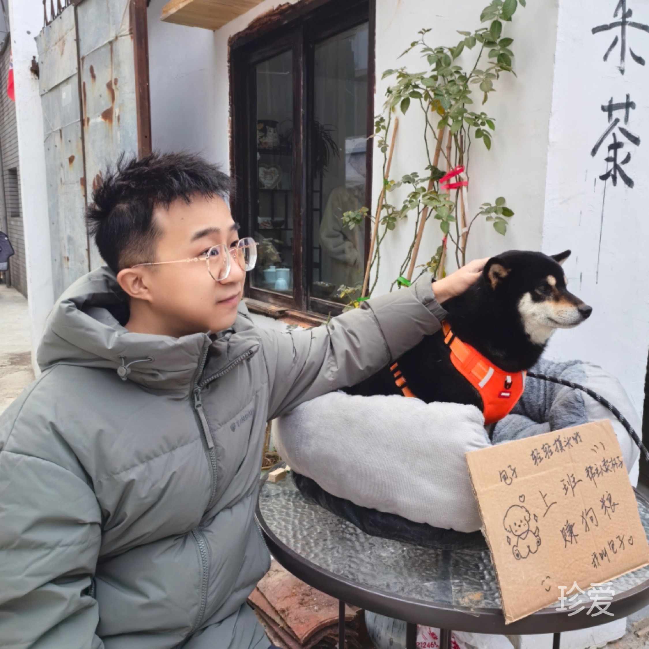 晨光落衣襟