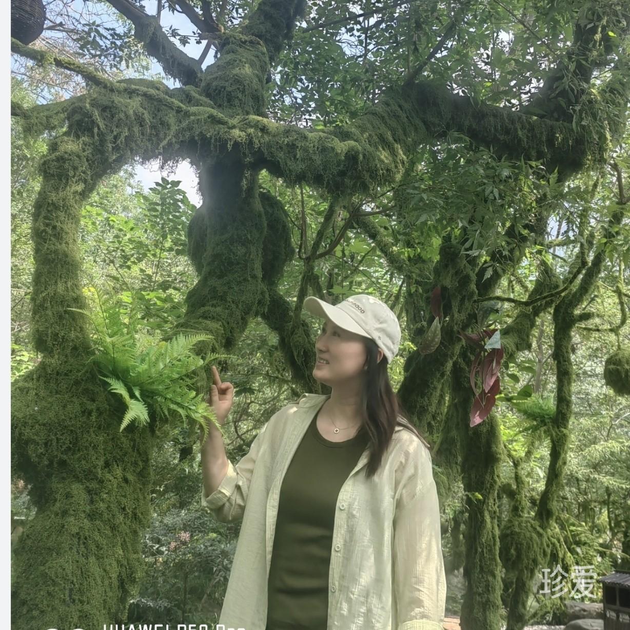 稳稳的幸福