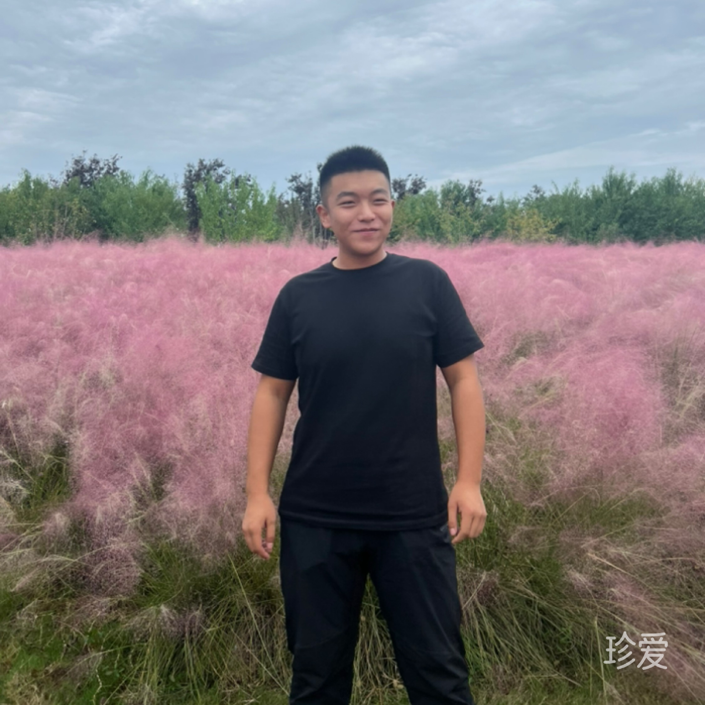 HL男子汉