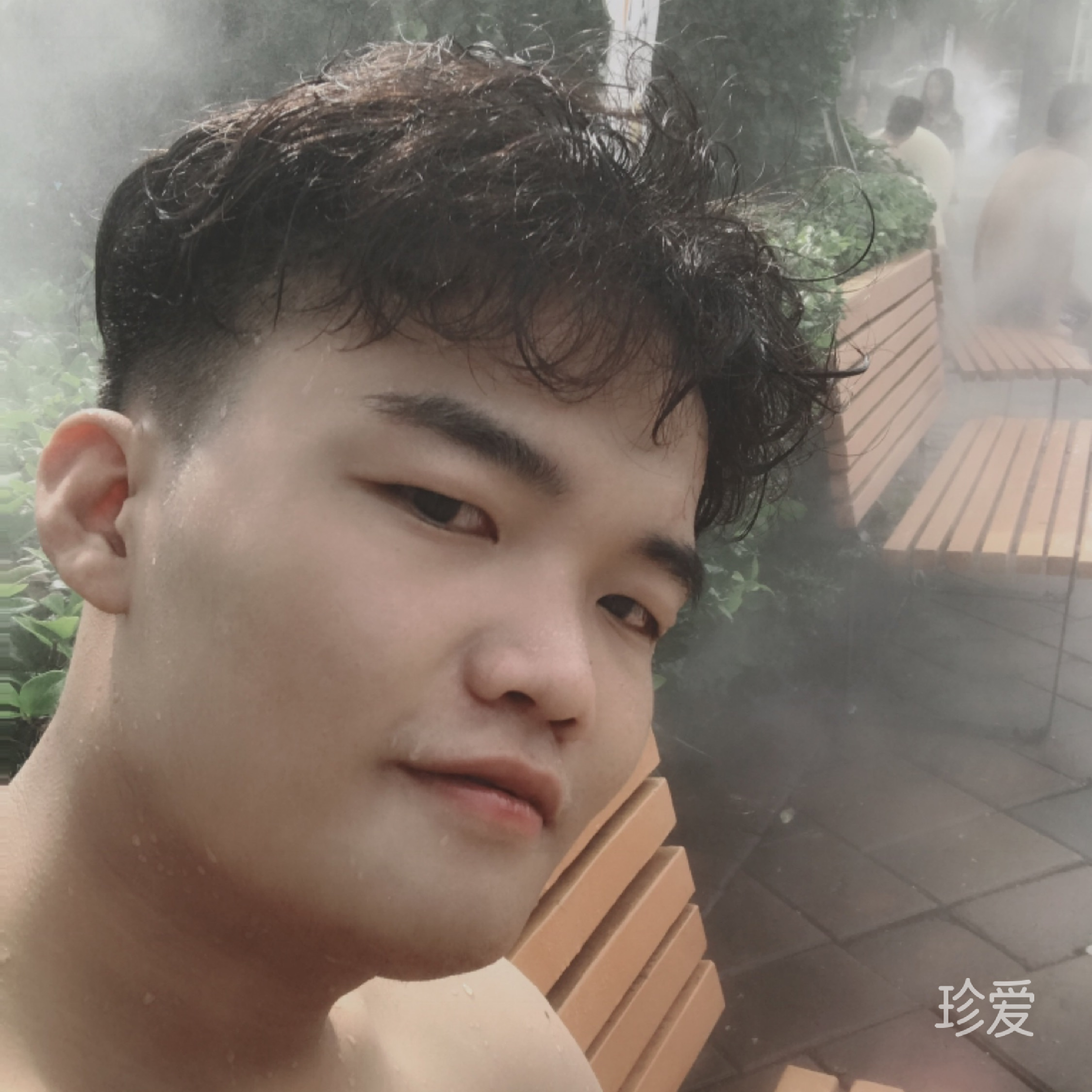 船票上的薔薇花K