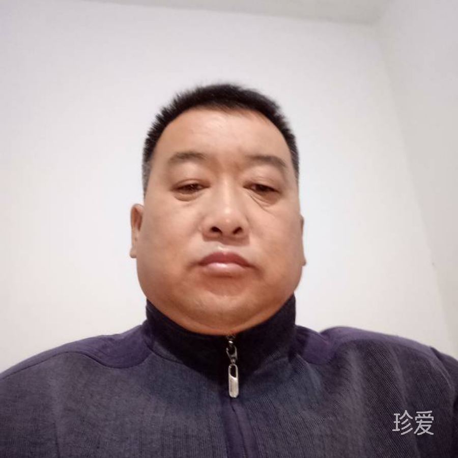 自由飞翔