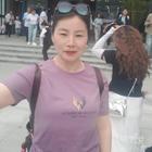 櫻花爛漫