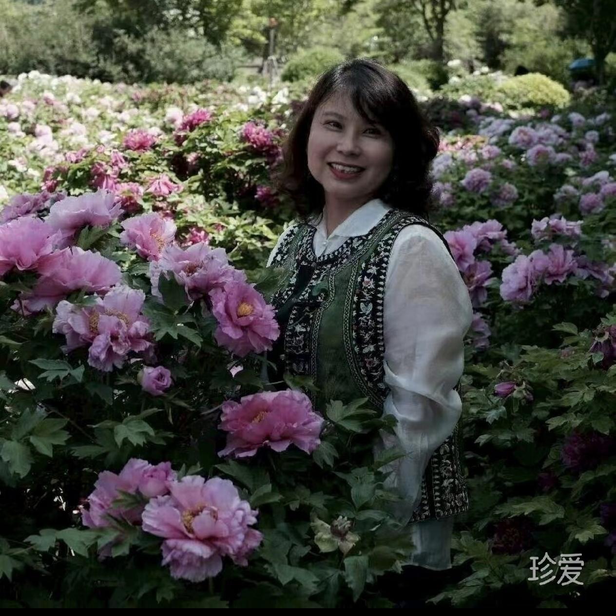 四季明月