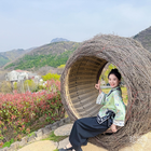 愛(ài)吃菠菜的楊