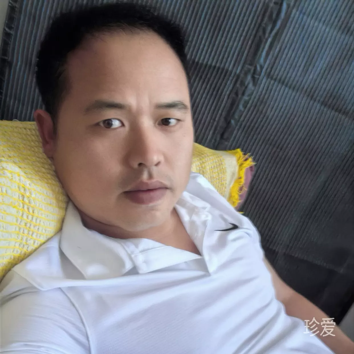 一只小龙虾