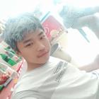 夢里求真