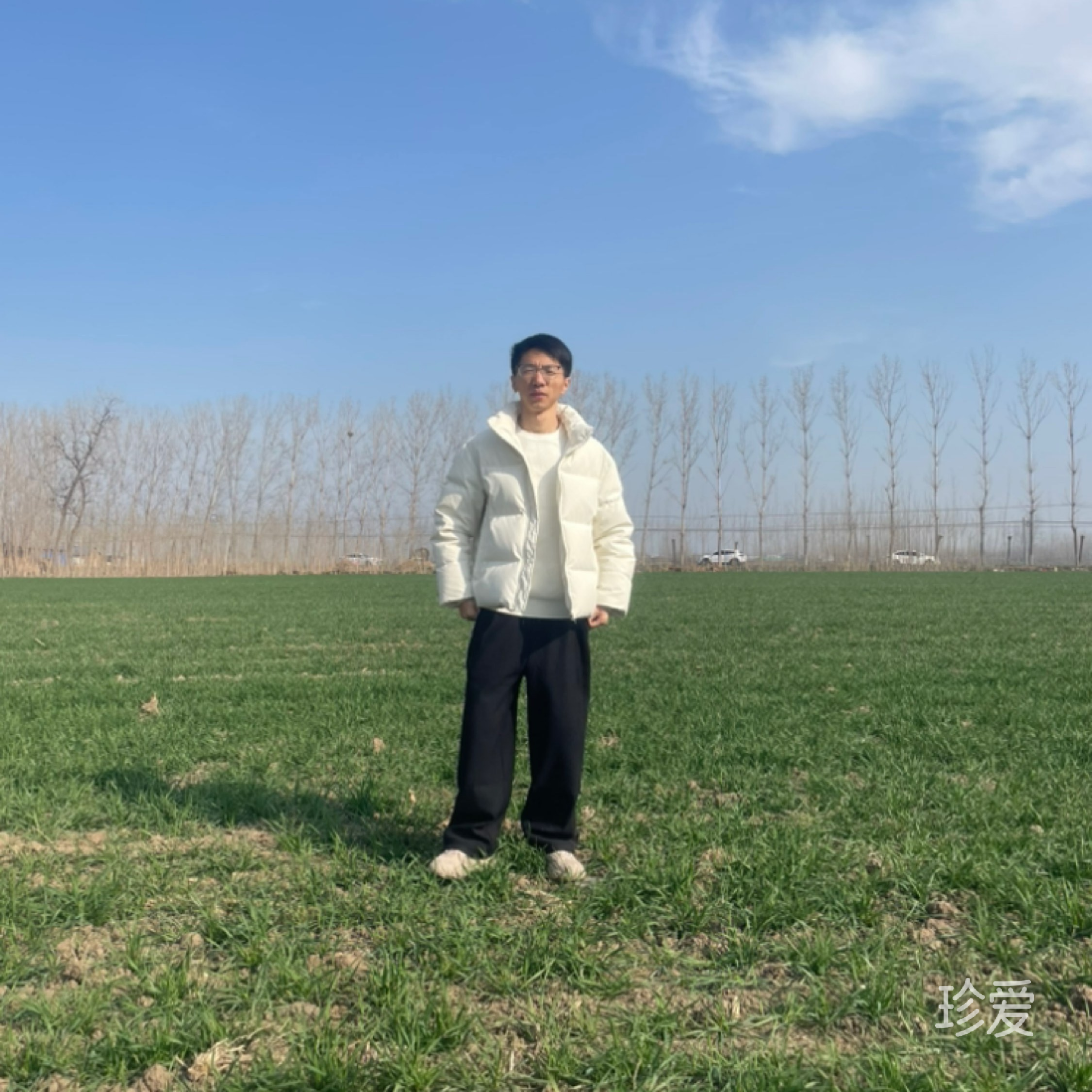 汤汤