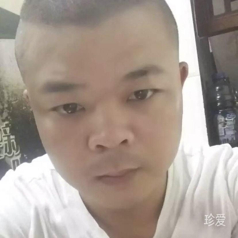 红尘未了