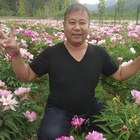 做人真難