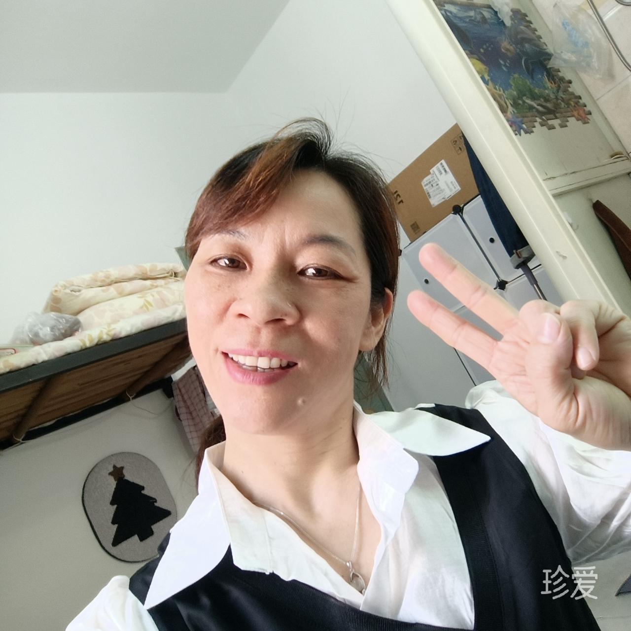 風(fēng)中的柳楓葉