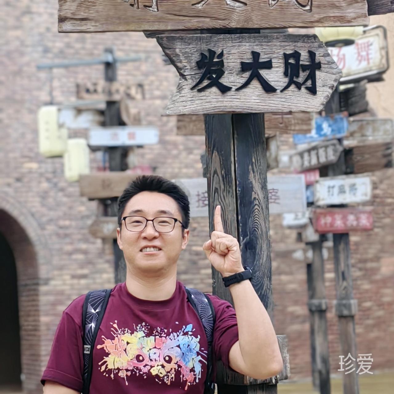 树袋熊本树
